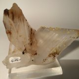 Azufre sobre Yeso
110 x 96 mm
(Autor: Sante Celiberti)