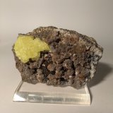 Azufre, Dolomita, Pirita
97 x 65 mm
(Autor: Sante Celiberti)