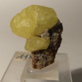 Azufre
30 x 25 mm
(Autor: Sante Celiberti)