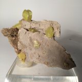 Azufre
89 x 60 mm
(Autor: Sante Celiberti)