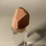 Ortoclasa
25 x 16 mm
(Autor: Sante Celiberti)
