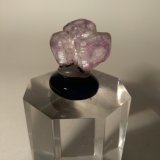 Fluorita
22,5 x 18,5 mm
(Autor: Sante Celiberti)