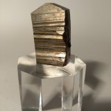 Pirita
34,3 x 23,5 mm
(Autor: Sante Celiberti)