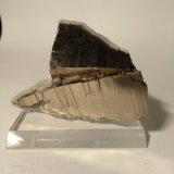 Pirita, Calcita
86 x 62 mm
(Autor: Sante Celiberti)