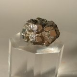 Pirita
25,1 x 25,7 mm
(Autor: Sante Celiberti)
