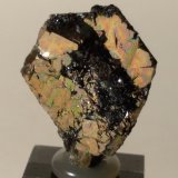 Pirita, Hematites
24 x 19,5 x 7 mm
(Autor: Sante Celiberti)