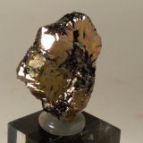 Pirita, Hematites
24 x 19,5 x 7 mm
(Autor: Sante Celiberti)
