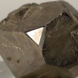 Pirita
26 x 18 mm.
(Autor: Sante Celiberti)
