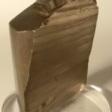 Pirita
67 x 50 x 18 mm
(Autor: Sante Celiberti)