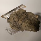 Pirita, Yeso
146 x 86 mm
(Autor: Sante Celiberti)