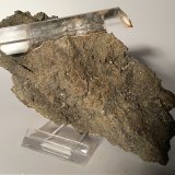 Pirita, Yeso
146 x 86 mm
(Autor: Sante Celiberti)