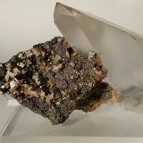 Pirita, Yeso, Calcita
96 x 58 mm
(Autor: Sante Celiberti)