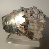Pirita, Calcita (seudomorfa de Anhidrita)
111 x 84 mm
(Autor: Sante Celiberti)
