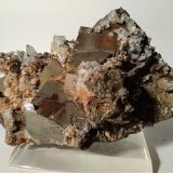 Pirita, Celestina
127 x 83 mm
(Autor: Sante Celiberti)