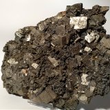 Pirita, Pirrotita, Melnikovita
260 x 190 mm
(Autor: Sante Celiberti)