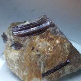 Rutilo
40 x 32 mm
(Autor: Sante Celiberti)