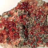 Grossularia (variedad hessonita), Diopsido, Clinocloro
86 x 66 mm
(Autor: Sante Celiberti)