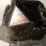 Pirita
65 x 72 mm
(Autor: Sante Celiberti)