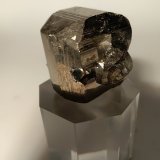 Pirita
31,3 x 33 mm
(Autor: Sante Celiberti)