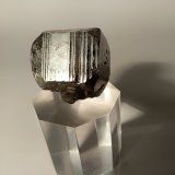Pirita
31,3 x 33 mm
(Autor: Sante Celiberti)