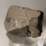 Pirita
30,2 x 37,2 mm
(Autor: Sante Celiberti)