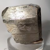 Pirita
53 x 52,5 mm
(Autor: Sante Celiberti)