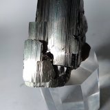 Pirita
45,6 x 38 mm
(Autor: Sante Celiberti)