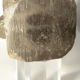 Pirita
52 x 48 mm
(Autor: Sante Celiberti)