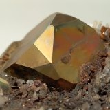 Pirita, Cuarzo
56,7 x 65,3 mm
(Autor: Sante Celiberti)