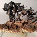 Stibnita (Estibina)
80,7 x 60,7 mm
(Autor: Sante Celiberti)