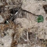 Valentinita, Tripuhyita
87,5 x 45,6 mm
(Autor: Sante Celiberti)