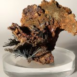 Stibnita (Estibina),
61 x 55 mm
(Autor: Sante Celiberti)