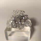 Fluorita, Pirita
30,5 x 24 mm
(Autor: Sante Celiberti)