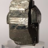 Pirita
43,6 x 36 mm
(Autor: Sante Celiberti)