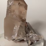 Cuarzo (variedad ahumado)
55 x 46 mm
(Autor: Sante Celiberti)