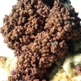 Cobre, Yeso, Malaquita
37 x 32,6 mm
(Autor: Sante Celiberti)