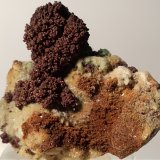 Cobre, Yeso, Malaquita
37 x 32,6 mm
(Autor: Sante Celiberti)