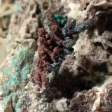 Cobre, Malaquita
72,3 x 54,5 mm
(Autor: Sante Celiberti)