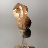 Cuarzo
20 x 15 mm
(Autor: Sante Celiberti)