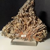 Stibnita (Estibina), Yeso
156 x 124 mm
(Autor: Sante Celiberti)