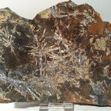 Stibnita (Estibina), Stibiconita
165 x 130 mm
(Autor: Sante Celiberti)
