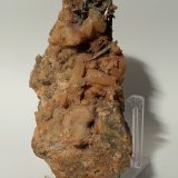 Stibnita (Estibina), Cuarzo
140 x 65 mm
(Autor: Sante Celiberti)
