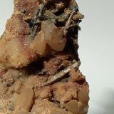 Stibnita (Estibina), Cuarzo
140 x 65 mm
(Autor: Sante Celiberti)