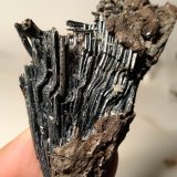 Stibnita (Estibina)
71,5 x 40 mm
(Autor: Sante Celiberti)