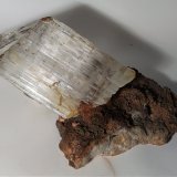 Yeso
250 x 140 mm
(Autor: Sante Celiberti)