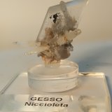 Yeso, Cuarzo, Pirita
48 x 55 mm
(Autor: Sante Celiberti)