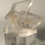 Yeso
50,6 x 48,6 mm
(Autor: Sante Celiberti)