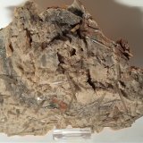 Yeso
190 x 130 mm
(Autor: Sante Celiberti)