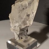 Yeso
89 x 39 mm
(Autor: Sante Celiberti)