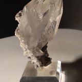 Yeso
89 x 39 mm
(Autor: Sante Celiberti)
